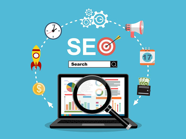 Search Engine Optimization Certification Training Bundle