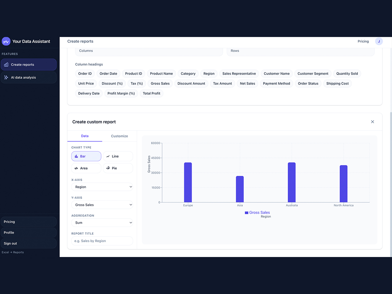 Your Data Assistant Lifetime Subscription (Pro Plan)