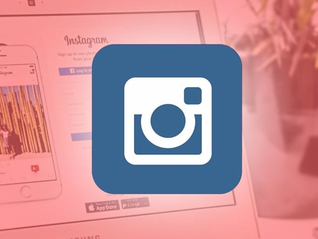 Instagram Marketing Crash Course for Entrepreneurs