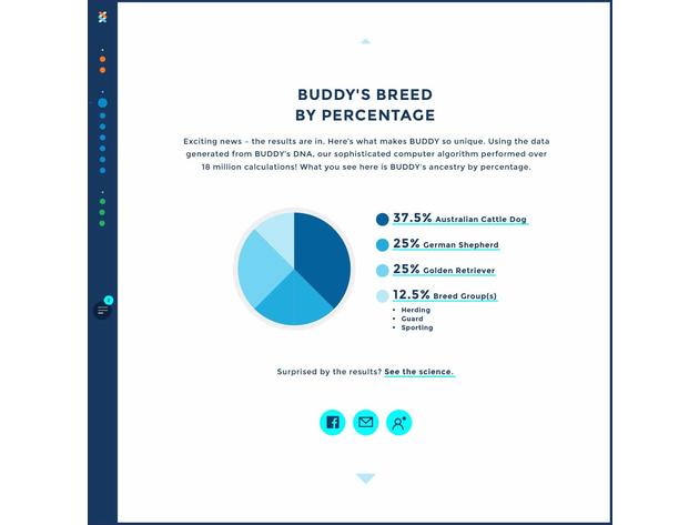 Wisdom Panel 3.0 Canine Dog DNA Test Kit Breed and Ancestry Information (new)