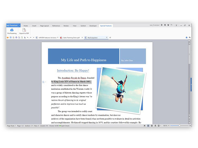WPS Office 2016 Business Edition: Lifetime Subscription