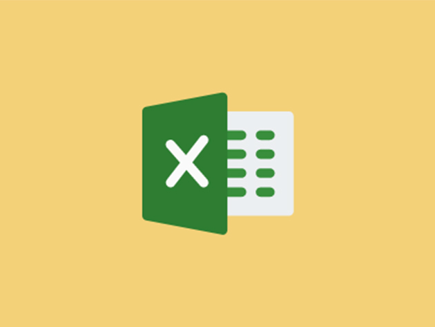 Learn the Basics of Excel