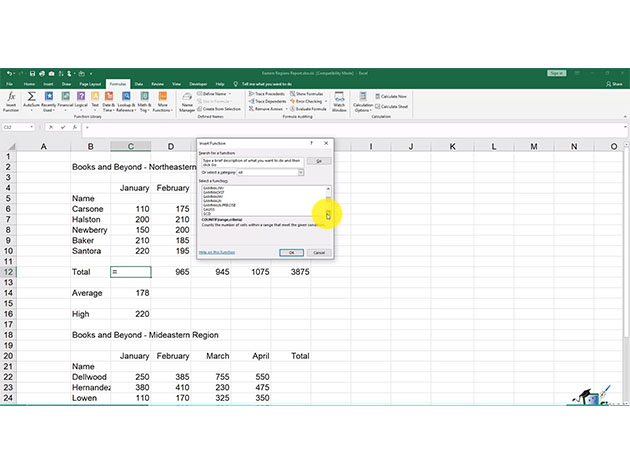 The Essential Excel for Beginners Course