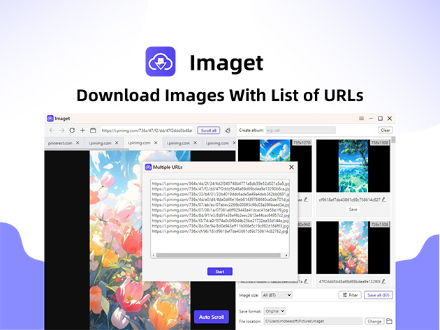 Imaget Bulk Image Downloader for Desktop Only: Lifetime Plan