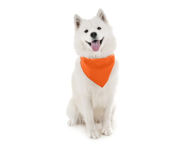 Dog Bandanas - 6 Pack - Scarf Triangle Bibs for Small, Medium and Large Puppies, Dogs and Cats - Orange