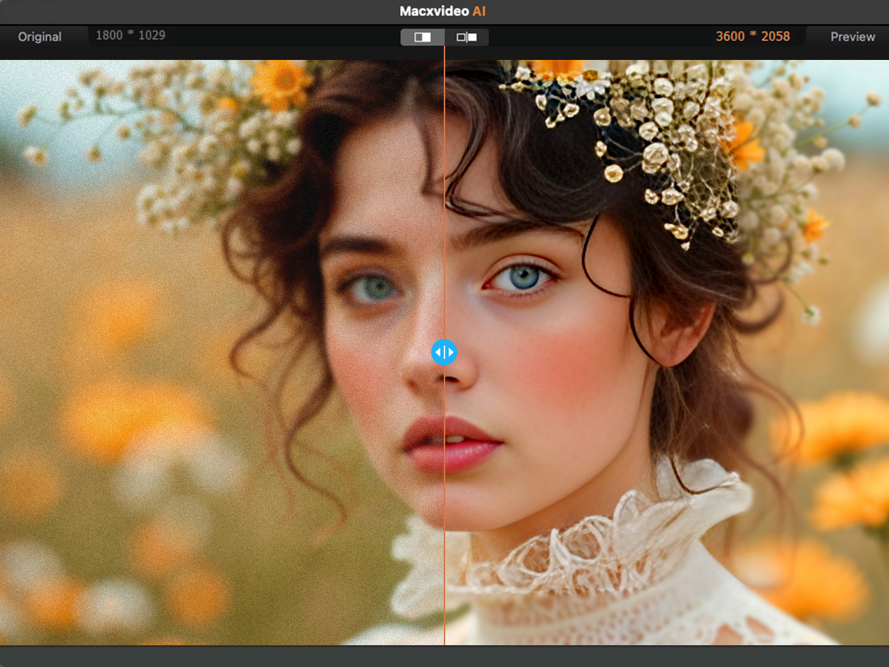 Macxvideo AI: Lifetime Subscription (5 Macs)
