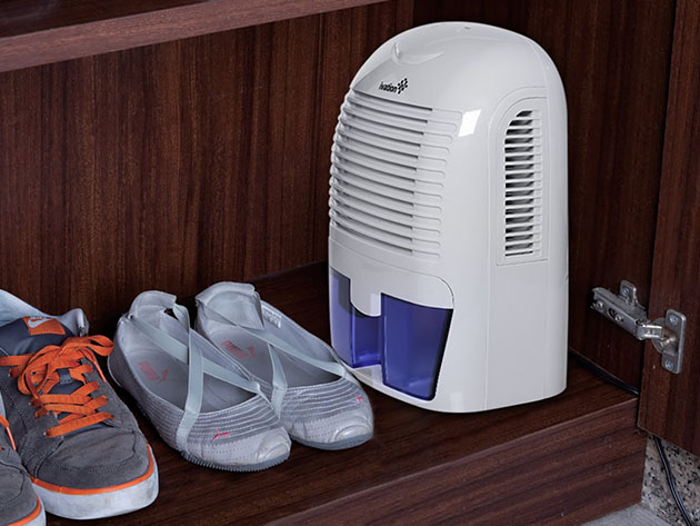 Ivation Medium Thermo-Electric Dehumidifier