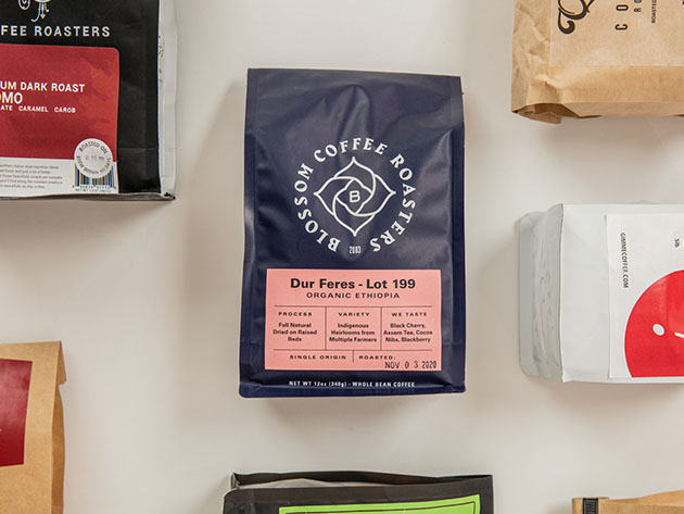 Angels' Cup All Stars Coffee: 1-Month Subscription