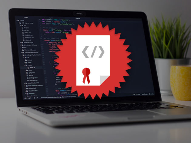 The A to Z Cyber Security & IT Certification Training Bundle