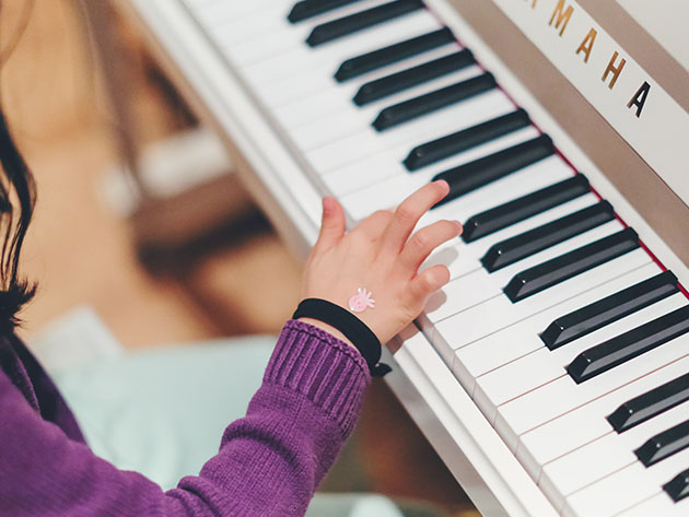 Learn to Read & Write Music to Play Piano and Other Instruments