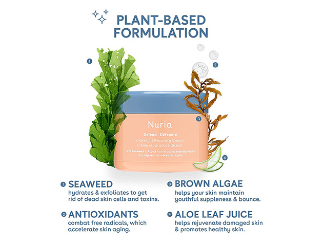 Nuria Defend: Overnight Recovery Cream with Seaweed & Algae (50ml)