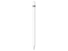 Apple Pencil 1st Gen with USB-C to Pencil Adapter (Refurbished)
