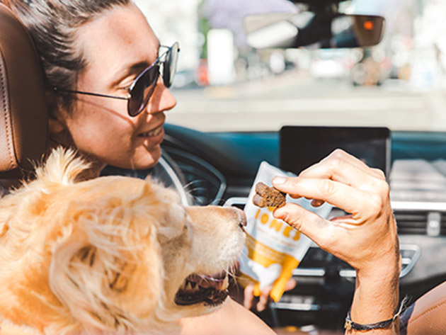 FOMO Bones CBD Dog Treats