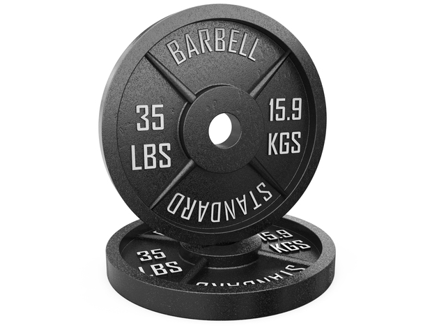 Synergee Standard Metal Weight Plates - Thirty Five Pound Plate - Pair 