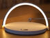 Moonlit Soft Glow LED Light, Wireless Charger & Stand (Rising Moon)