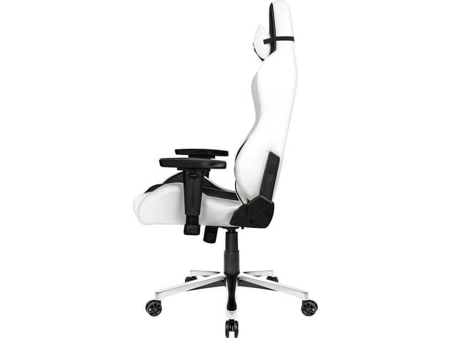 AKRacing AKPREMARTICA Masters Series Premium Gaming Chair - Arctica