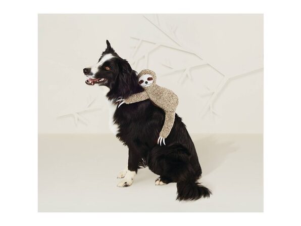 dog costume sloth