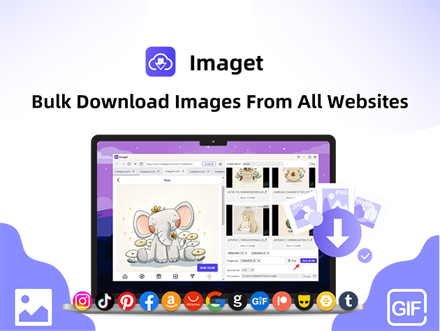 Imaget Bulk Image Downloader for Desktop Only: Lifetime Plan (5 Devices)