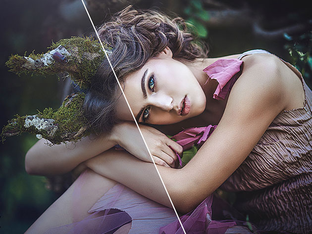 7000+ Professional Lightroom Presets: Lifetime Subscription