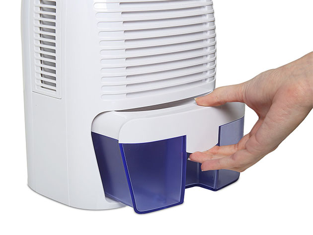 Ivation Medium Thermo-Electric Dehumidifier