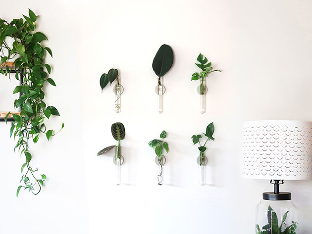 Iron & Spout Wall-Mounted Magnetic Propagation Set (Set of 9)
