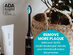 Shyn Sonic Rechargeable Electric Toothbrush with Whitening Brush Head, Charger, and Travel Case (Midnight Black)