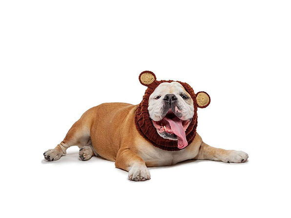 Product Image 0