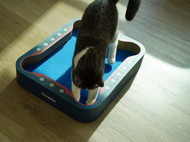 Cheerble Board Game: All-in-One Interactive Toy for Cats (Blue/Grey)