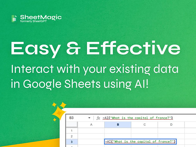 SheetMagic Single User Plan: Lifetime Subscription