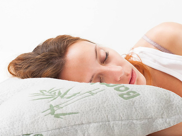Dr. Pillow Bamboo Cover Shredded Memory Foam Pillow