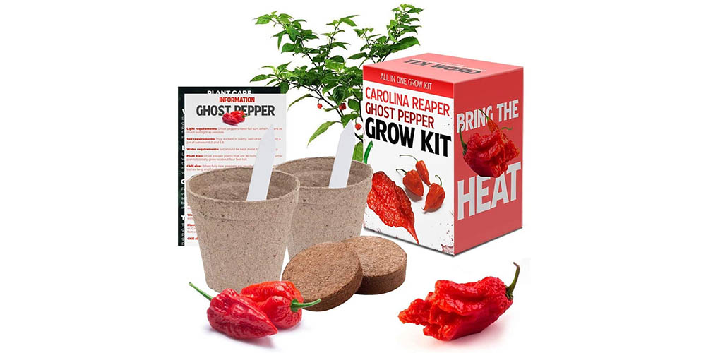 Pepper growing kit