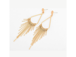 Silver Long Tassel Earrings