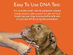 DNA My Dog Premium Breed ID Test