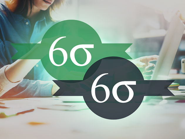 Six Sigma Green & Black Belt Certification Bundle