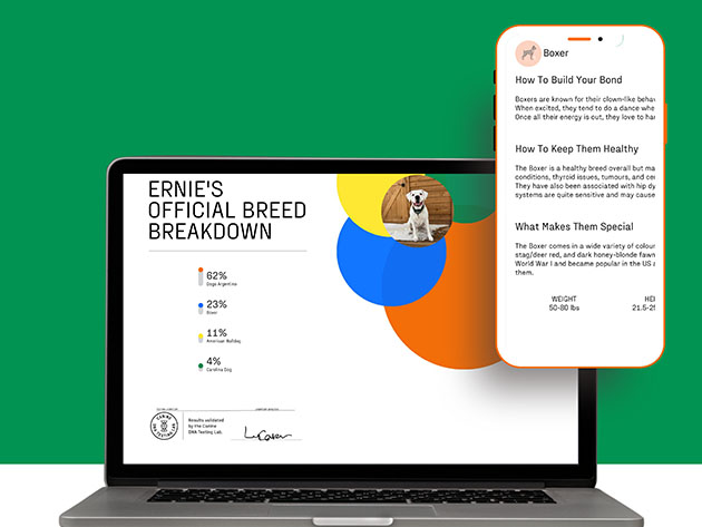 DNA My Dog Essential Breed ID Test