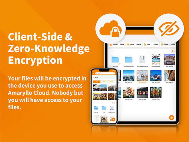 Amaryllo Cloud Storage: One-Time Payment (2-Pack)