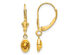 14K Yellow Gold Natural Citrine 4/5 Carat (ctw) Leverback Earrings