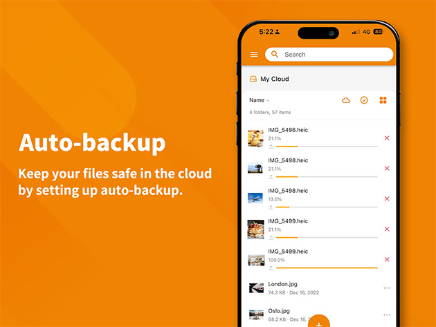Amaryllo Cloud Storage: One-Time Payment (200GB/2-Pack)
