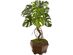 Nearly Natural 27inch Monstera Artificial Decorative Planter Silk Plants - Green (Like New, Damaged Retail Box)