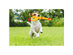 2-Pack Hilarious 15 Rubber Screaming Chicken Novelty Toy for Kids & Pets