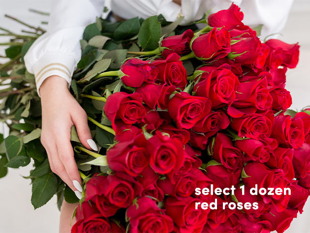 2 Dozen Long Stem Roses + Vase w/ Free Shipping 
