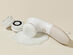 Raedia Facial Cleansing Brush