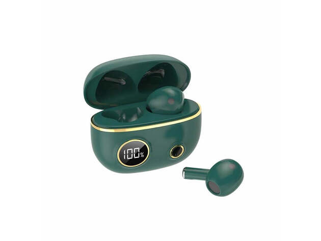 Fancy High Definition Earbuds (Green)