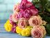 Mother's Day Special: Get 24 Farmer's Color Choice Long-Stem Roses for $44.99 Shipped!