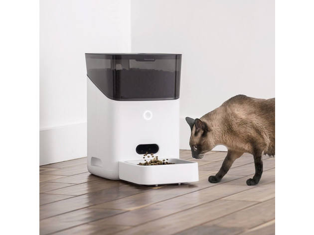 Petnet SF20BRNAWHT Smartfeeder Automatic Pet Feeder - White