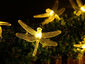 LED Dragonfly Solar Light String - WARM YELLOW
