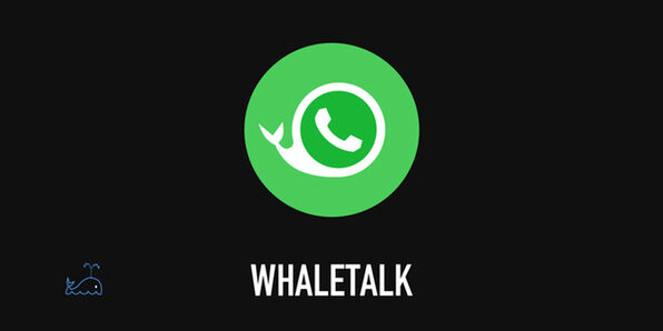 Advanced iOS from Bitfountain: Create a WhatsApp Clone - Product Image