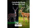 eufy 4G LTE Starlight Camera Bundle (1 Pack)