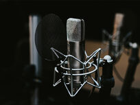 Podcasting in 24 Hours: Setup, Record & Podcast in 1 Day - Product Image