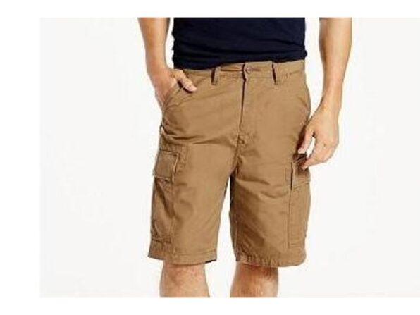 carrier cargo pants